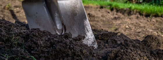 Warum regionale Gartenerde die nachhaltige Wahl für Berliner Gärtner ist